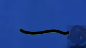 Они уже достали обе 😡 (обязательно читайте описание!)