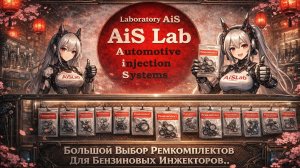 Laboratory AiS - Самый Большой Выбор Ремкомплектов Для Инжекторов.