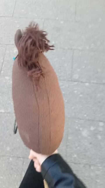 влог с прогулки