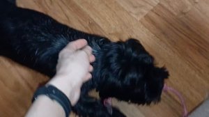 Варю супчик Вечерний влог