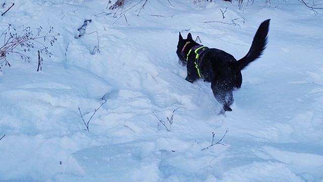 Зимой на заливе