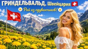 ГРИНДЕЛЬВАЛЬД, Швейцария🇨🇭Невиданная красота швейцарской деревни🌼 Рай из одуванчиков