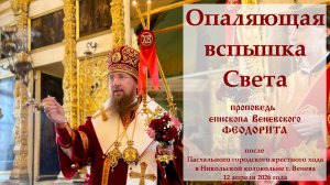 "Опаляющая вспышка Света". Епископ Венёвский Феодорит.