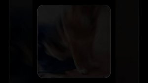 1000055829.mp4 (Собака наблюдает за устройством лестницы на 2-ой этаж в доме А-фрейм)