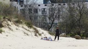 🌊 Дельфин спокоен, а птицы странные… Не мазут ли в воде? 12 апреля 2026 🐬⚠️