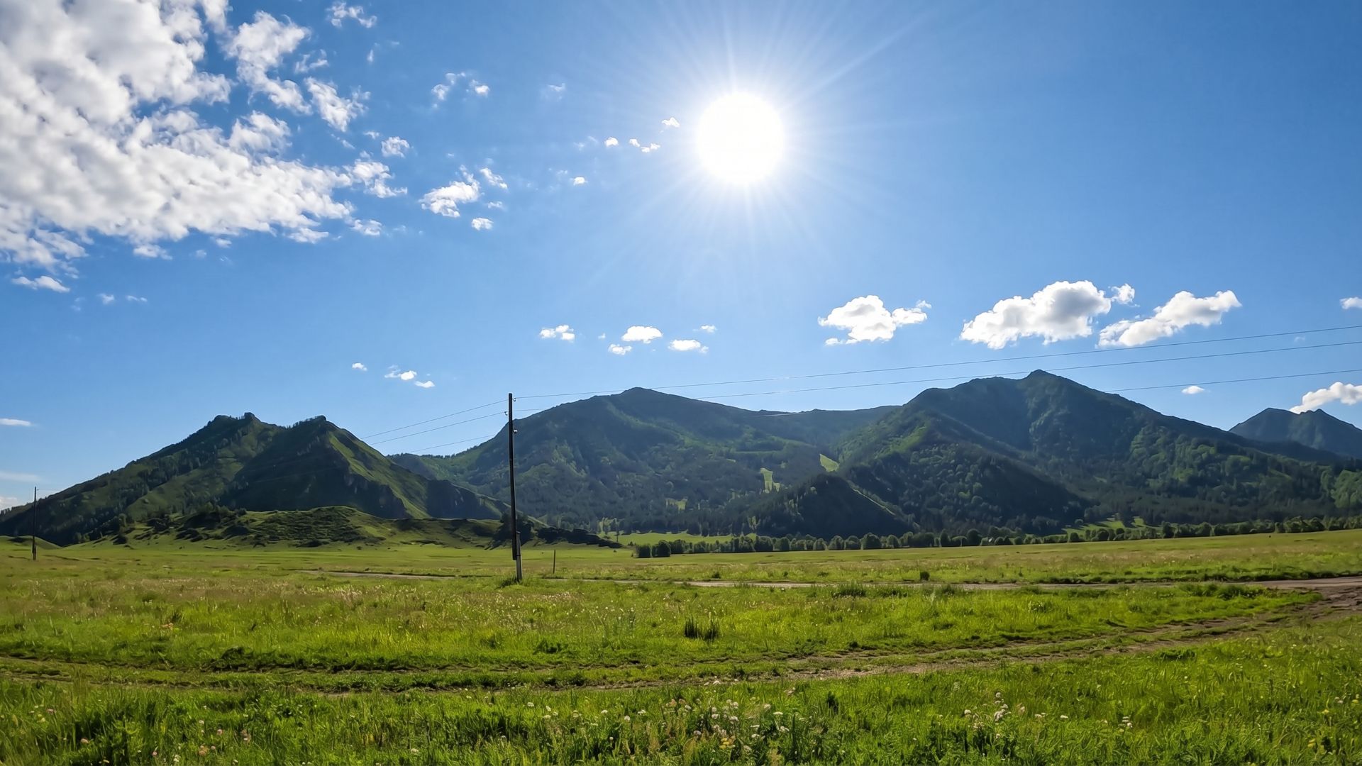 Земельные участки для жизни в Усть-Коксинском районе