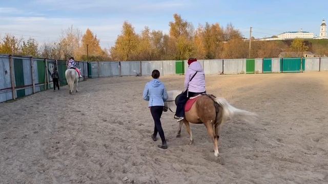 Поездка классом в конный клуб Тобольск / 3а класс 2024 маоу сош 2 Тобольск / конный клуб в Тобольске