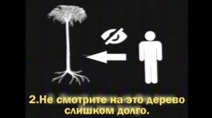 Дерево Лепидодéндрон аналоговый хоррор (видео с ютуба)