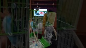 КАК ВАЩЕ ВСЕ ЭТО ПРОИЗОШЛО?