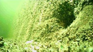 1000014989.mp4Волга гл.5м.11.04.2026г.