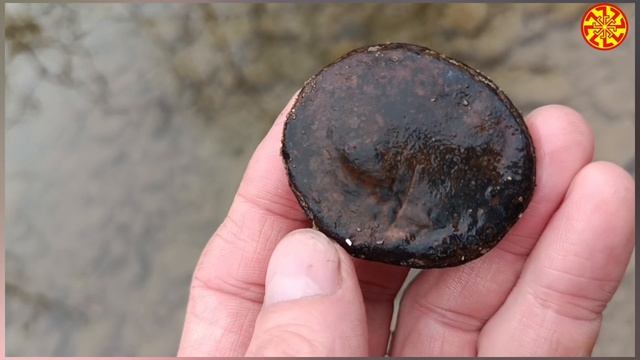Кольцо неондертальца 🤣
Окаменнлая двустворчатая раковина и окаменелое дерево 🔥