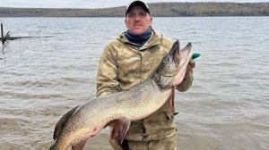 Крупная щука БВХ осень 2025
