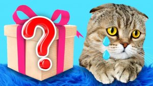 КисКис: Киса грустит... Необычный подарочный бокс для неё 🎁💖