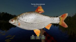 Русская рыбалка 4. Трофы Комариного, 6 из 8 за 4 игровых дня.