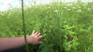 Влог от 23.07.2022