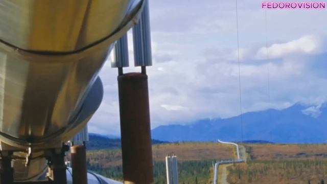 Германия требует от РФ возобновить недорогой газ по прежним контрактам - Ответ Путина ошарашил!