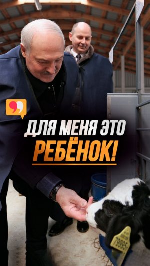 «Ах ты бандит!» // Лукашенко нянчится с телятами на ферме! #shorts