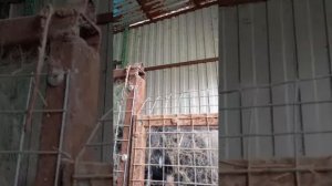 это отвечаю на вопросы