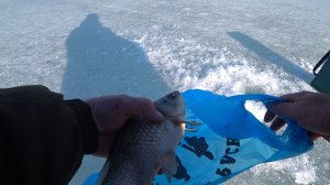 ЗАКРЫТИЕ СЕЗОНА по твердой воде.