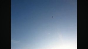 avrora f19 m пушер паркфлаер 2011 год