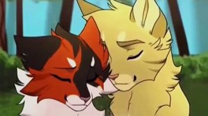 Самые лучшие эдиты- с Кленовницей .. || Коты-Воители. Описание👇