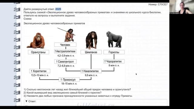 Задания 25 (экспресс)