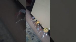 Деньги-500=(кг.).mp4