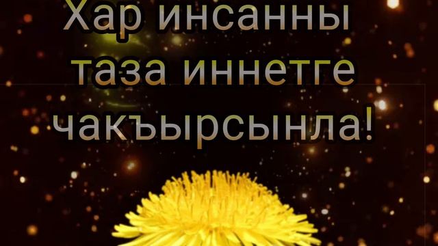 Эртденигиз
Ахшы болсун,
 Багьалы мен бек сюйген
 Къарачай - Малкъар 
миллетим!