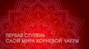 Первая ступень курса "СЕМЬ СТУПЕНЕЙ" с Ариной Волковой