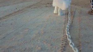 MELOVIN Lama Мені так треба Вітрила Official Music Video