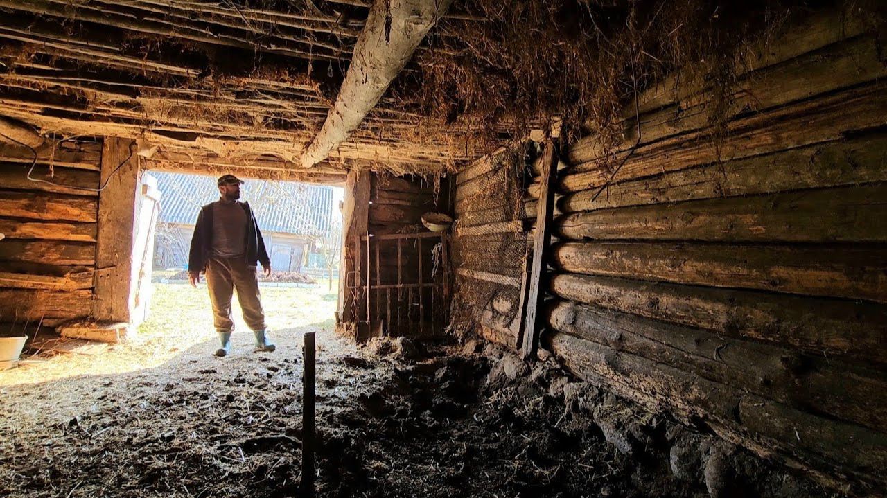 Один в деревне. Возрождаю наследие деда! Разбираю старый хлев...