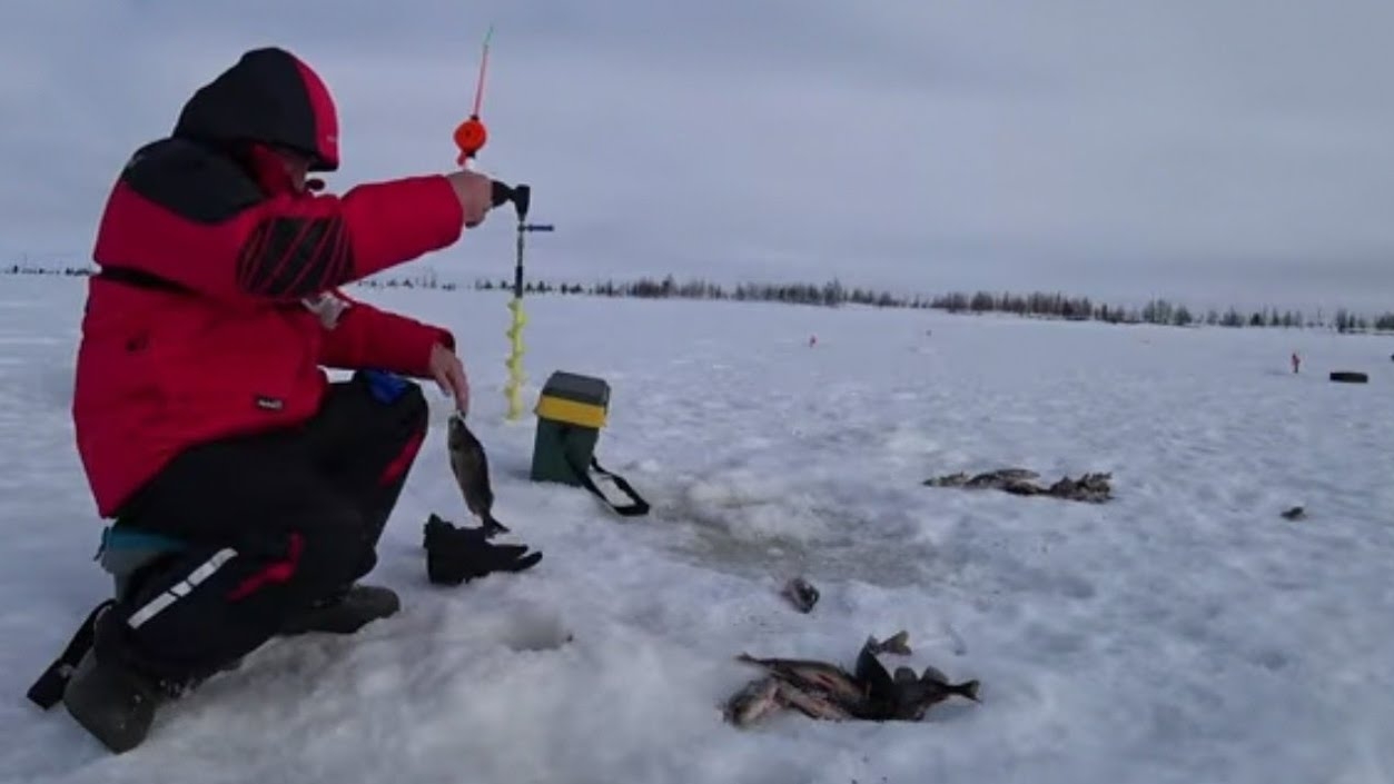 ПОПАЛИ НА ОКУНЕВЫЙ РАЙ!! ЩУКА ТОЖЕ ЛОВИЛОСЬ!!!