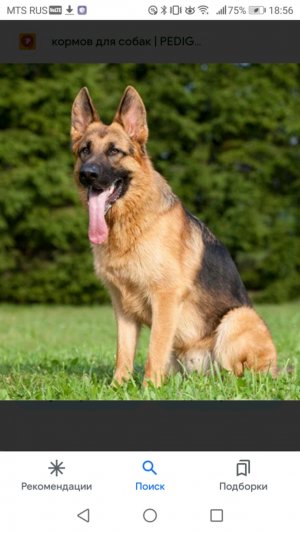 Обращение к подписчикам