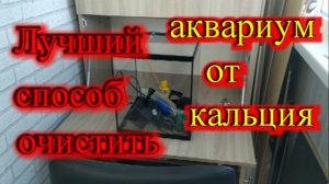 Как очистить стекло аквариума от кальция и налёта с помощью лимонной кислоты