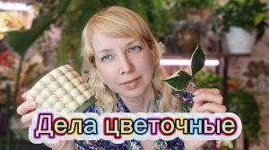 Дела цветочные: цветочный маркет, обзор в Лемано Про, цветочные новинки