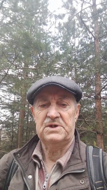 VID_20260412_073638274.