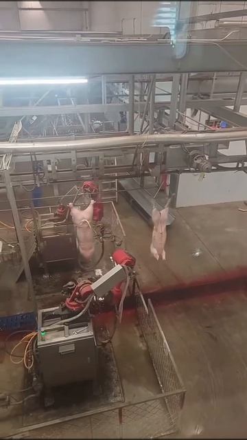 1991. Роботизированная установка для опаливания