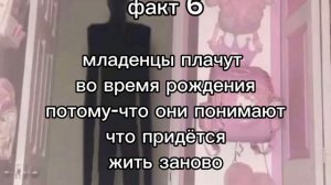 факт 6