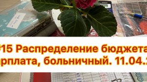 #15 Распределение бюджета. 11.04.2026