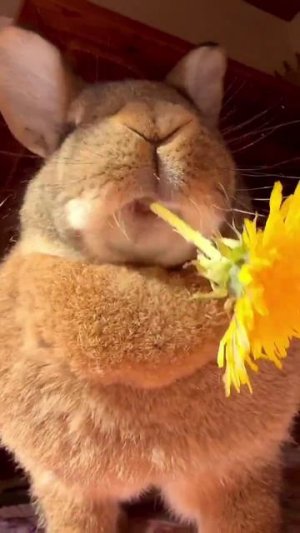 Завтракаем