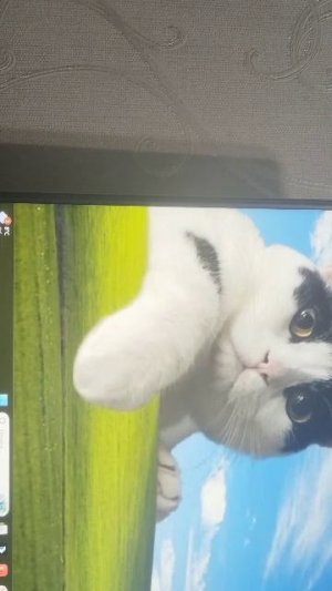 Играю с другом в майн