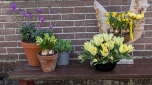 Наш пасхальный день.