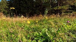 Подумаешь,муж ушёл.