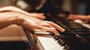 Gibran Alcocer — Idea 12