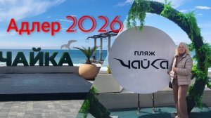 ОТДЫХ В АДЛЕРЕ🌴☀️/ПЛЯЖ ЧАЙКА!🌊