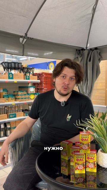  Эксперт Ленты рассказал как подготовить теплицы к новому сезону