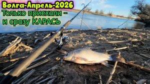 🔥Открыли сезон - взяли КАРАСЯ!!! Рыбалка на Волге в Астрахани в Апреле-2026 #волга
