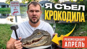 МАЙАМИ: Где найти аллигаторов и какие они на вкус