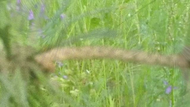 "Дорогою добра"  Ирина Сук  2020г