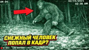 Лесная камера засняла ночью странное лохматое существо похожее на Снежного человека